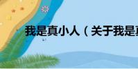 我是真小人(关于我是真小人简介)