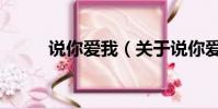 说你爱我(关于说你爱我的简介)