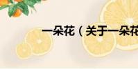 一朵花(关于一朵花的简介)