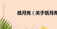纸月亮(关于纸月亮的简介)