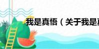 我是真悟(关于我是真悟简介)