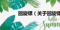 回旋镖(关于回旋镖的简介)