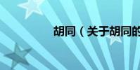 胡同(关于胡同的简介)