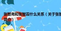 张智尧和张智霖什么关系(关于张智尧和张智霖什么关系的简介)