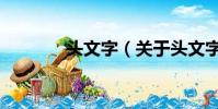头文字(关于头文字的简介)