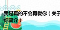 我是真的不会再爱你(关于我是真的不会再爱你简介)