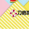 刀疤哥（关于刀疤哥的简介）