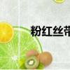 粉红丝带（关于粉红丝带的简介）