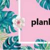 planb（关于planb的简介）