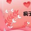 疯子（关于疯子的简介）