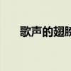 歌声的翅膀（关于歌声的翅膀的简介）