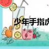 少年手指虎（关于少年手指虎的简介）