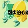 甜蜜的心跳（关于甜蜜的心跳的简介）