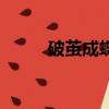 破茧成蝶（关于破茧成蝶的简介）