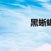 黑蜥蜴（关于黑蜥蜴的简介）
