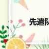先遣队（关于先遣队的简介）