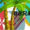 非亲兄弟（关于非亲兄弟的简介）