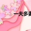 一夫多妻（关于一夫多妻的简介）