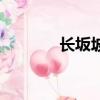 长坂坡（关于长坂坡的简介）