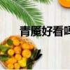青魇好看吗（关于青魇好看吗的简介）