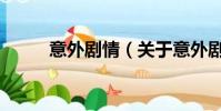 意外剧情(关于意外剧情的简介)