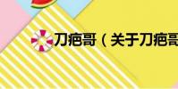 刀疤哥(关于刀疤哥的简介)