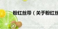 粉红丝带(关于粉红丝带的简介)