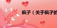 疯子(关于疯子的简介)