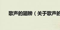歌声的翅膀(关于歌声的翅膀的简介)