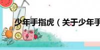 少年手指虎(关于少年手指虎的简介)