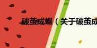 破茧成蝶(关于破茧成蝶的简介)