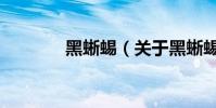 黑蜥蜴(关于黑蜥蜴的简介)