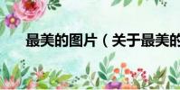 最美的图片(关于最美的图片的简介)