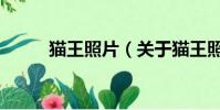 猫王照片(关于猫王照片的简介)