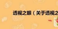 透视之眼(关于透视之眼的简介)