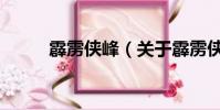 霹雳侠峰(关于霹雳侠峰的简介)