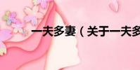 一夫多妻(关于一夫多妻的简介)
