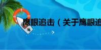 鹰眼追击(关于鹰眼追击的简介)