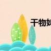 干物妹（关于干物妹的简介）