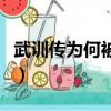 武训传为何被禁（关于武训传为何被禁的简介）