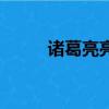诸葛亮亮（关于诸葛亮亮的简介）
