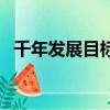 千年发展目标（关于千年发展目标的简介）