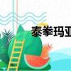 泰拳玛亚（关于泰拳玛亚的简介）