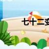 七十二变（关于七十二变的简介）
