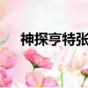 神探亨特张 （关于神探亨特张 的简介）