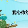 我心依然（关于我心依然的简介）