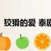 狡猾的爱 泰剧（关于狡猾的爱 泰剧的简介）