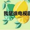 我是谁电视剧（关于我是谁电视剧的简介）