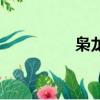 枭龙（关于枭龙的简介）