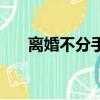 离婚不分手（关于离婚不分手的简介）